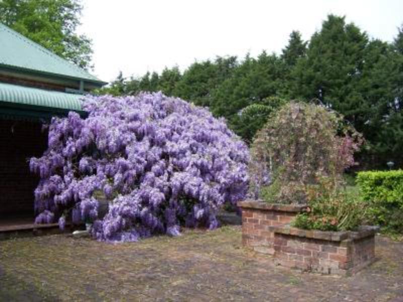 Heronswood House B & B Moss Vale Buitenkant foto